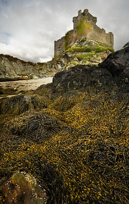 Tioram Castle - Take a View - landscape Photographer of the Year 2008