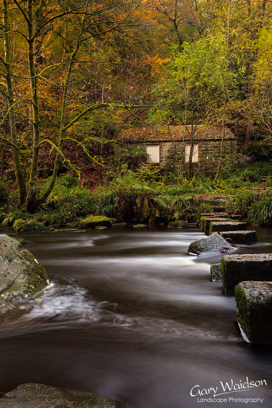 Hardcastle-Steps