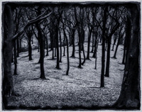 Tandlewood. 